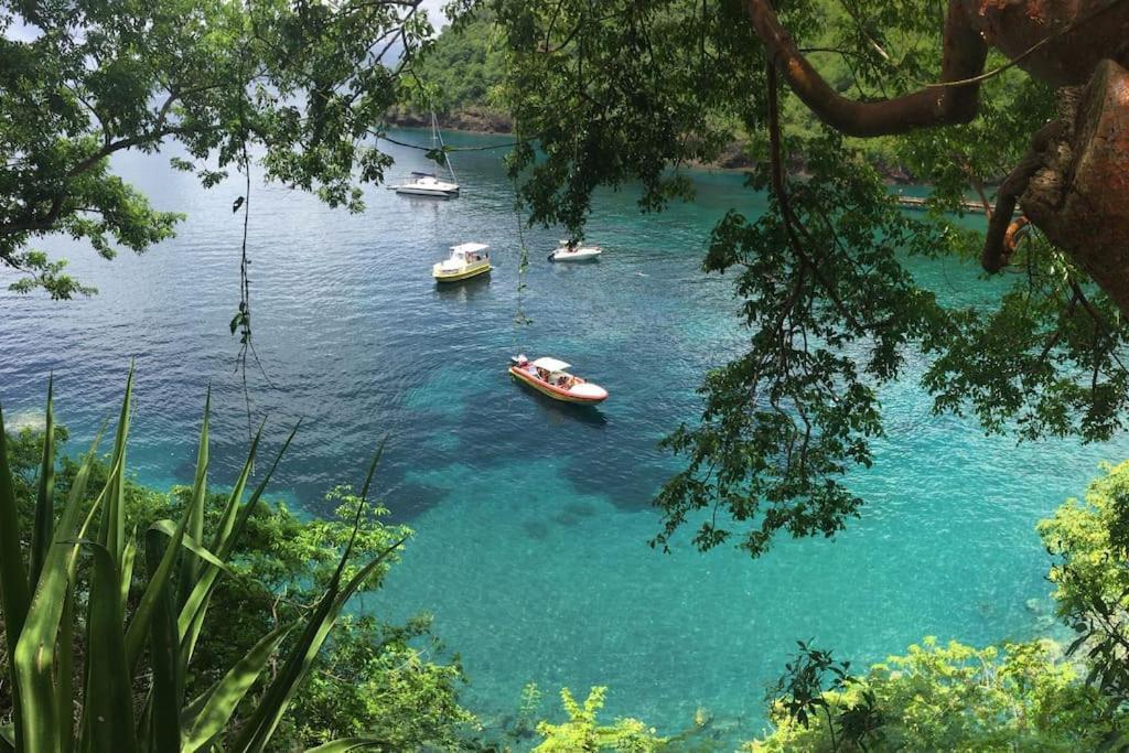 Le Marin - Bungalow Classe 3 Etoiles Tb Equipe & Confortable - Escapade En Couple - Paisible & En Toute Discretion - Wi-Fi - Climatisation - Calme & Serenite - Plages Du Sud, Centre De Carenage & Marina Du Marin Proche En Voiture - Acheminement Sur D Экстерьер фото