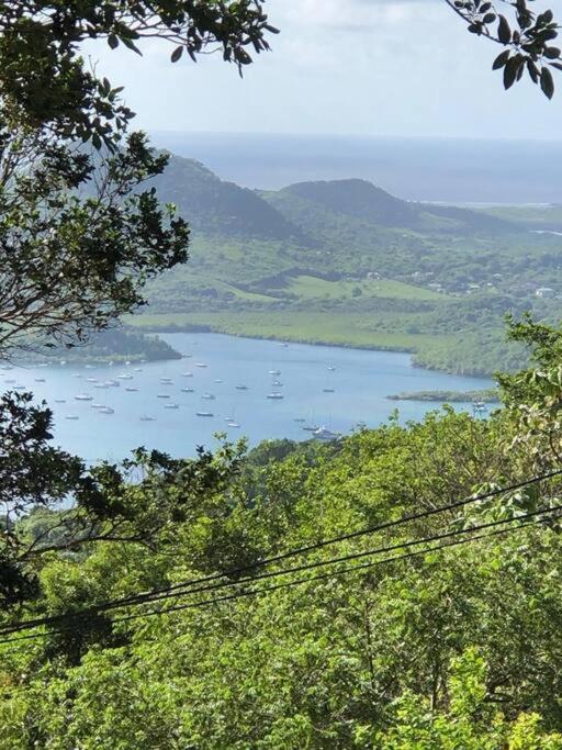 Le Marin - Bungalow Classe 3 Etoiles Tb Equipe & Confortable - Escapade En Couple - Paisible & En Toute Discretion - Wi-Fi - Climatisation - Calme & Serenite - Plages Du Sud, Centre De Carenage & Marina Du Marin Proche En Voiture - Acheminement Sur D Экстерьер фото